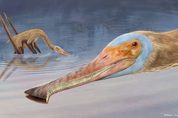 New species of dinosaur with more than 400 teeth unearthed in Germany