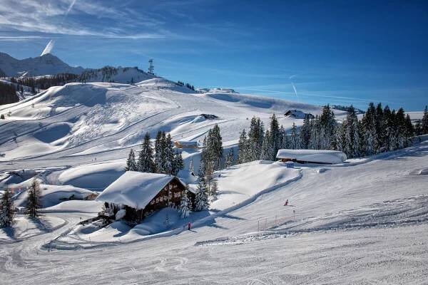 Skifahren & Snowboarden