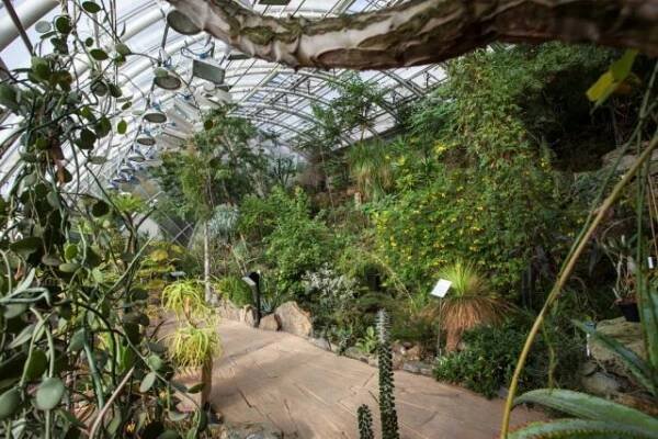 Sukulentní část - Botanická zahrada Praha