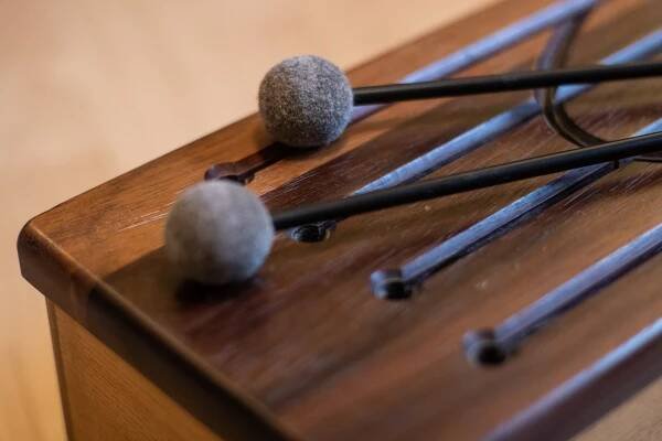 Musiktherapie – Supervision | Coaching