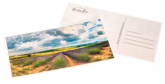 Lavandia pohlednice - Grosso