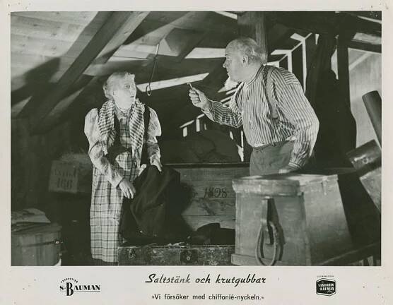 Gull Natorp, Sigurd Wallén - Saltstänk och krutgubbar - Fotosky