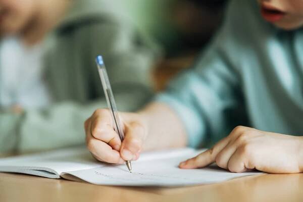 Essay Excellence