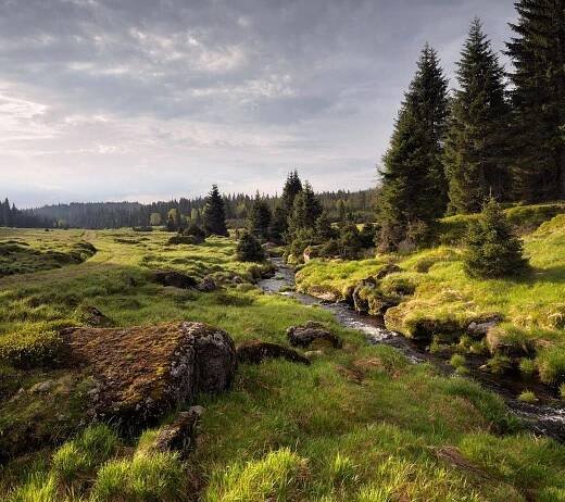 Šumava