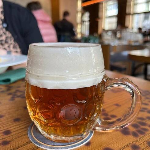 RESTAURACE POTREFENÁ HUSA LIBEREC - Menu, Prices & Restaurant Reviews - Tripadvisor