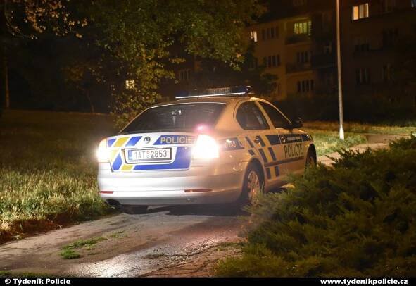 V parku na Žižkově byl nalezen oběšený senior, policisté se ho ještě pokoušeli resuscitovat | Týdeník Policie