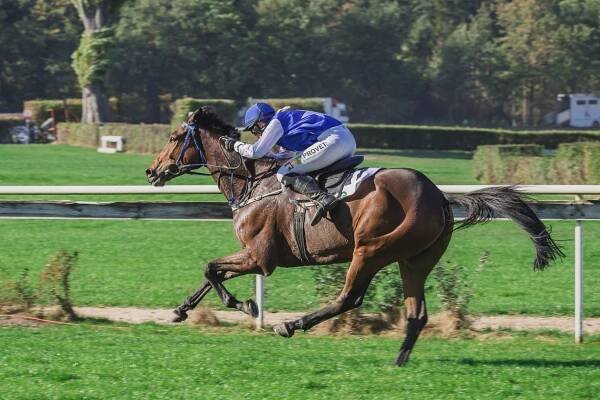 Reportážní fotografování dostihových závodů Velká Pardubická 2018 | de simple