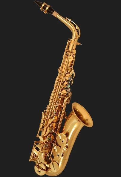 Cannonball Saxophones - Stone Series, Vintage Reborn, Sceptyr, Alcazar, Gerald Albright Signature Series