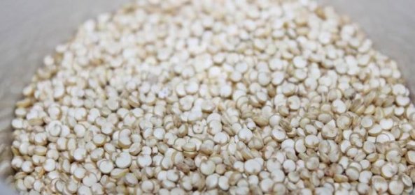 Quinoa je velmi zdravá, pomůže i při migréně. Kuskus nebo bulgur jsou proti ní naprostí břídilové
