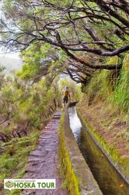 Levády: Nejkrásnější stezky Madeiry jsou podél vodních kanálů | CK HOŠKA TOUR