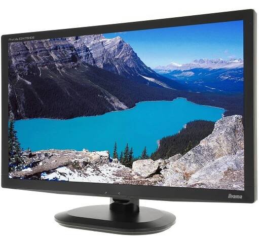 24" iiyama ProLite E2475HDS černý