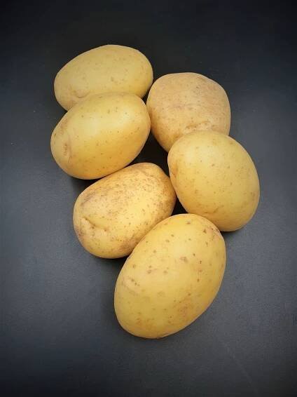 Anglia Produce Ltd