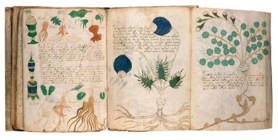 Žádný z navržených způsobů čtení Voynichova rukopisu dosud nebyl uznán za výchozí
