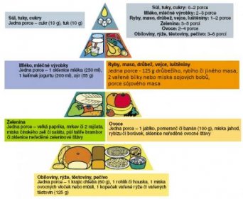 Potravinová pyramida - návod na zdravý životní styl | Vím, co jím