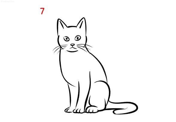 Kitty drawing - Step by Step