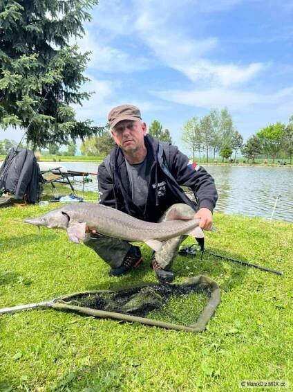 Pšánky - rybářské závody jednotlivců na 24 hodin 