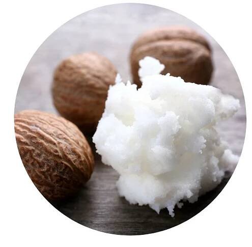 shea butter- symbol