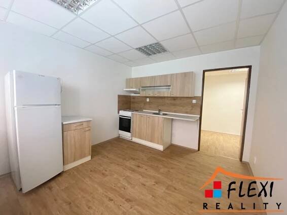Pronájem prostorného bytu 1+1, 48 m², Moravská Ostrava, ul. Hrušovská | FLEXI REALITY s.r.o.