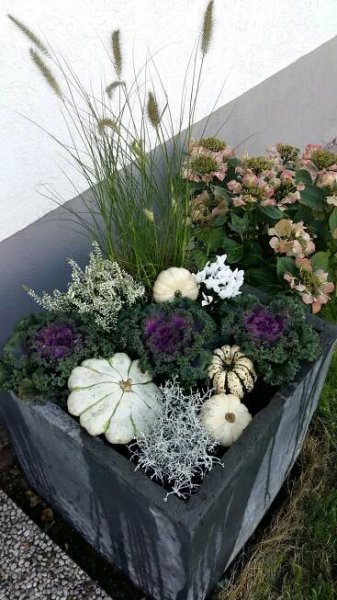 Herbstliche Bepflanzung im Blumentopf