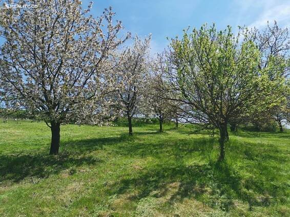 Prodej Pozemek, Dobročkovice, okres Vyškov