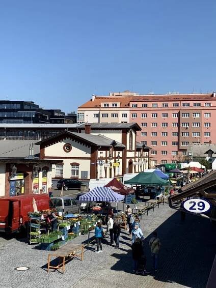Dezinfekce a roušky mezi sazeničkami. Pražská tržnice otevřela pod širým nebem