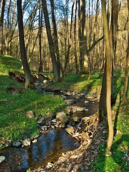 Vuznice pod zříceninou Jenčov - Vuznice creek near ruin Jenčov