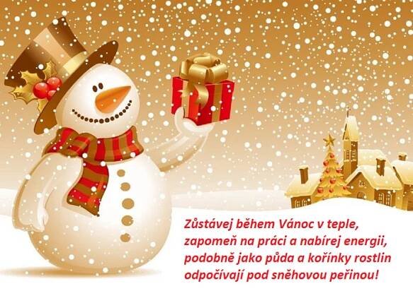 Obrázky k novému roku ke stažení