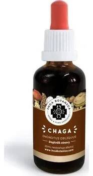 Přírodní produkt Chaga – extrakt 50 ml