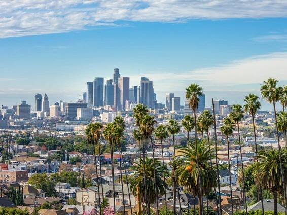 The skyline of downtown Los Angeles with palm trees in the foreground.