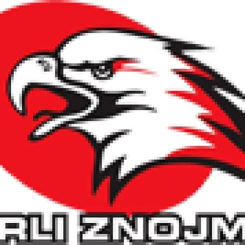 Orli Znojmo - HC VÍTKOVICE RIDERA - HC VÍTKOVICE RIDERA