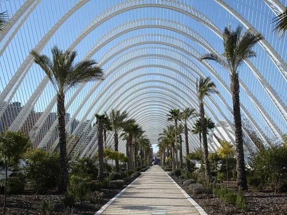 Inside Oceanogràfic 