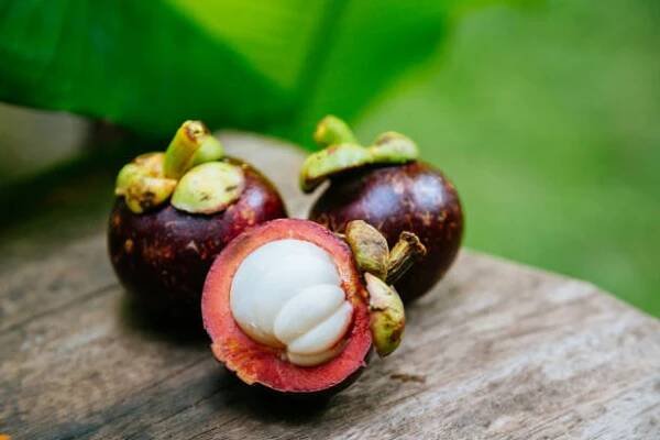 zralé mangostany - mangostana lahodná - stock snímky, obrázky a fotky