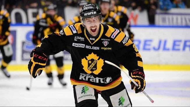 Po otřesu mozku spadl do temnoty, teď hokejista Andersson pomáhá