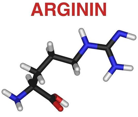 L-Arginin - složka výživových doplňků na Podporu erekce - Erekce guru
