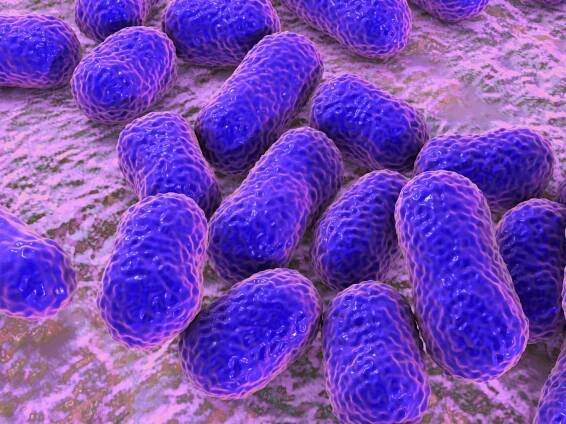 Umělá inteligence objevila antibiotikum na nebezpečnou bakterii - Techsvět