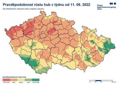 Mapa hub: Nejlepší místa pro sběr hub v Česku