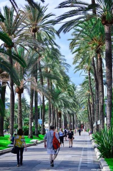 what to do in palma de Mallorca capital of palma de mallorca, discover Palma capital