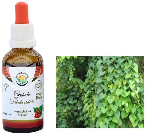 GUDUCHI (Chebule srdčitá) AF tinktura z léčivé rostliny, 50ml Salvia