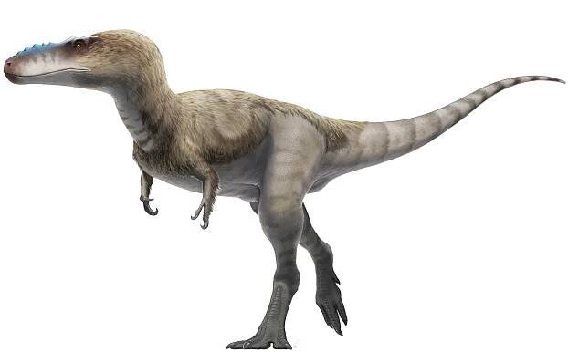 Alioramus