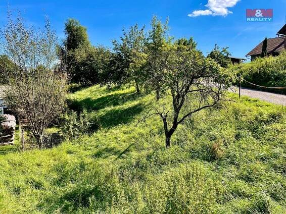 Prodej Pozemek, Petrovice, okres Ústí nad Orlicí