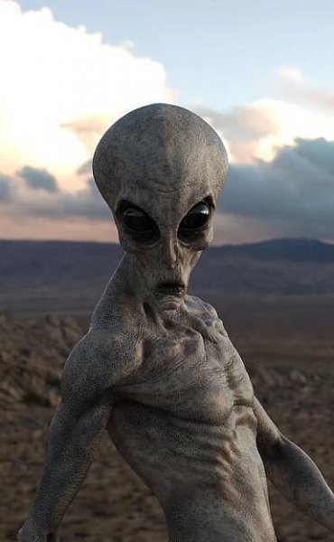 Pin by Chris Ryan on Aliens | Alien photos, Alien aesthetic, Alien artwork