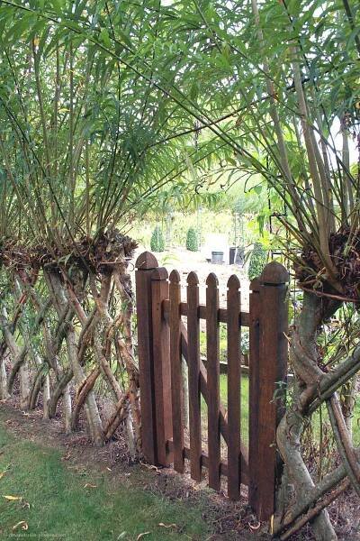 a wooden fence surrounded by trees and grass