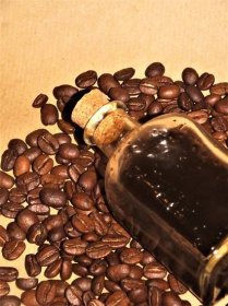 Kávový lógr: Skrytý poklad pro vaše tělo, vlasy i zahradu | Žijeme homemade