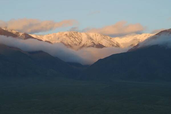 Travelogs | Virtual Guide to the Flora of Mongolia