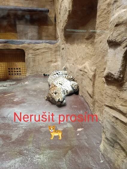 Mamí, mamí jdeme do ZOO | MŠ Mitušova 6