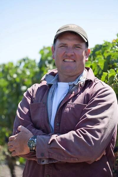 Winemaking — Roche Sonoma Winery 