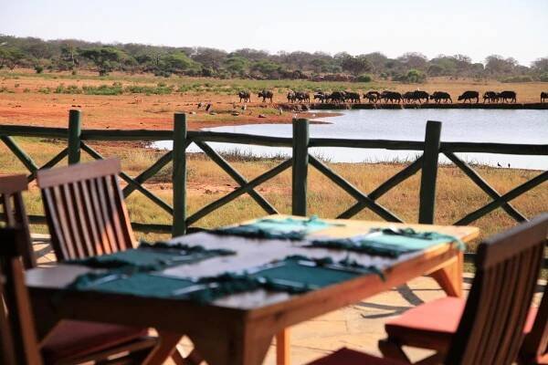 Voi Wildlife Lodge - Safari a dovolená v Keni