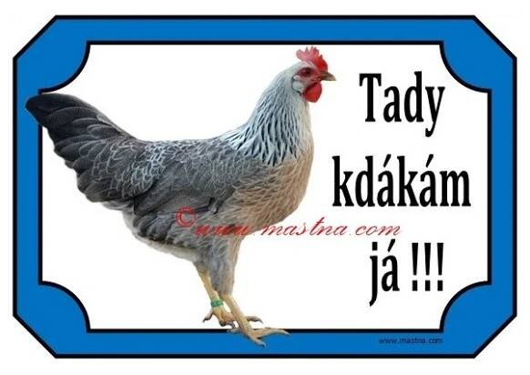 Cedulka slepice, vlaška, drůbež 2