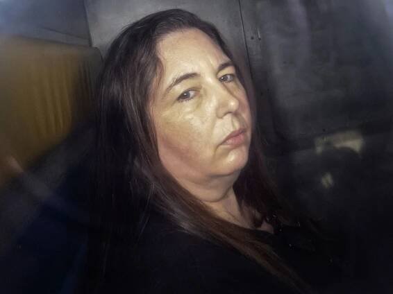 Why did Erin Patterson kill her in-laws in Australian 'mushroom murder' case?