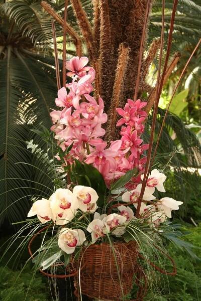 Botanická zahrada - Výstava orchidejí - fotogalerie